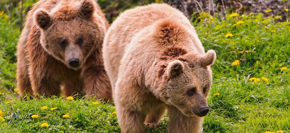 Тестовый слайд