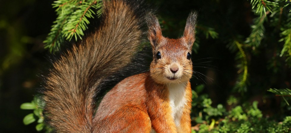 Тестовый слайд 2