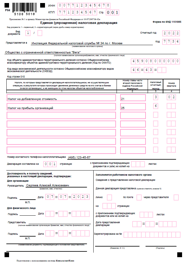 Образец заполнения бланка единой упрощённой декларации
