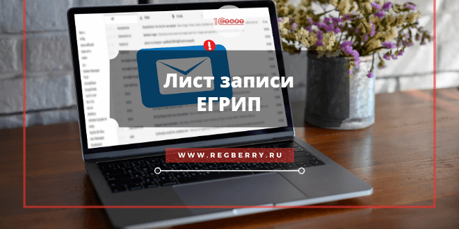 Лист записи ЕГРИП - что это такое и как получить