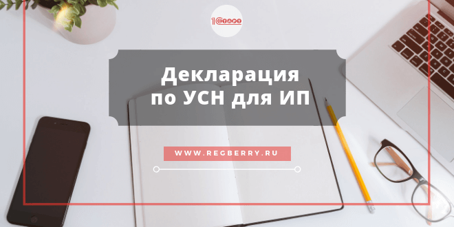Декларация УСН для ИП