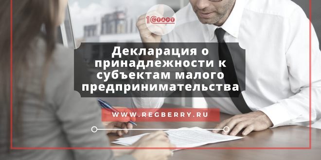 Декларация о соответствии субъектам малого бизнеса