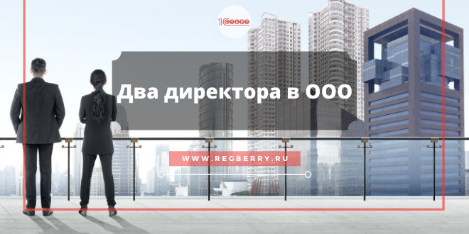 Два генеральных директора в ООО