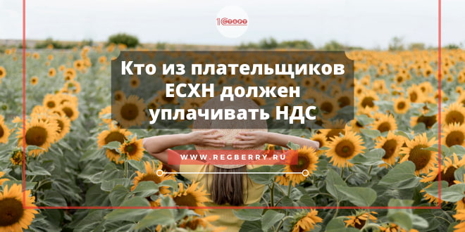 Кто из плательщиков ЕСХН должен уплачивать НДС