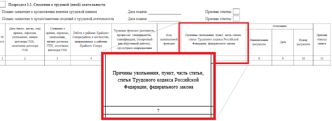 Заполнение графы 7, подраздела 1.1 формы ЕФС-1