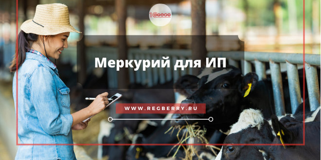 Меркурий для ИП