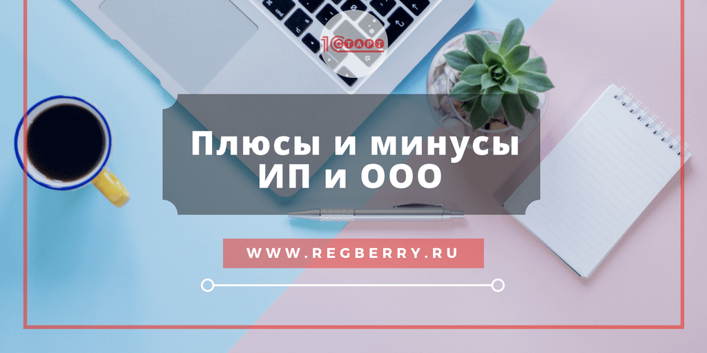 Плюсы и минусы ИП и ООО
