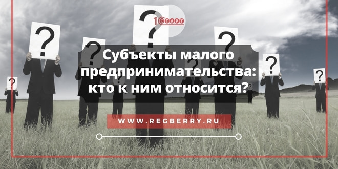 Субъект малого и среднего предпринимательства